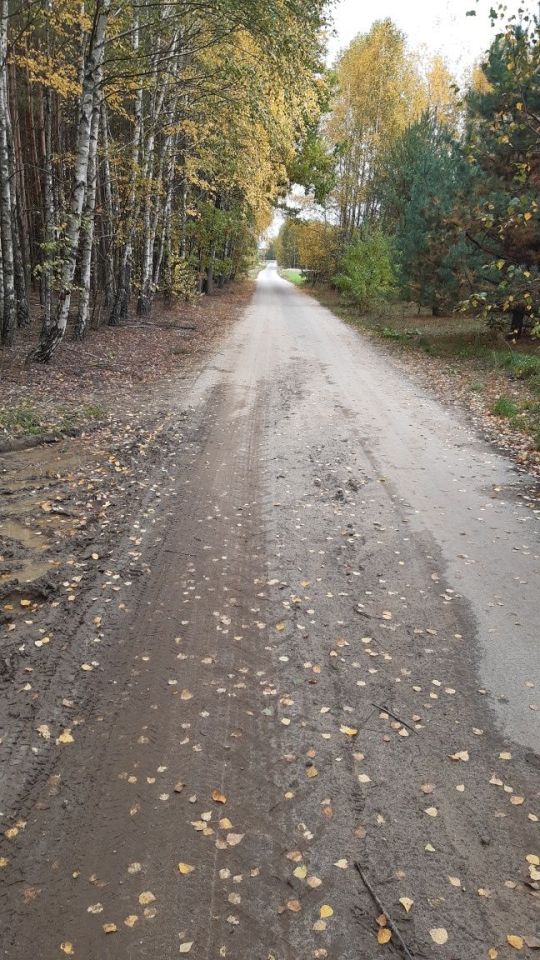 Działka rekreacyjna Żarnów. Zdjęcie 4