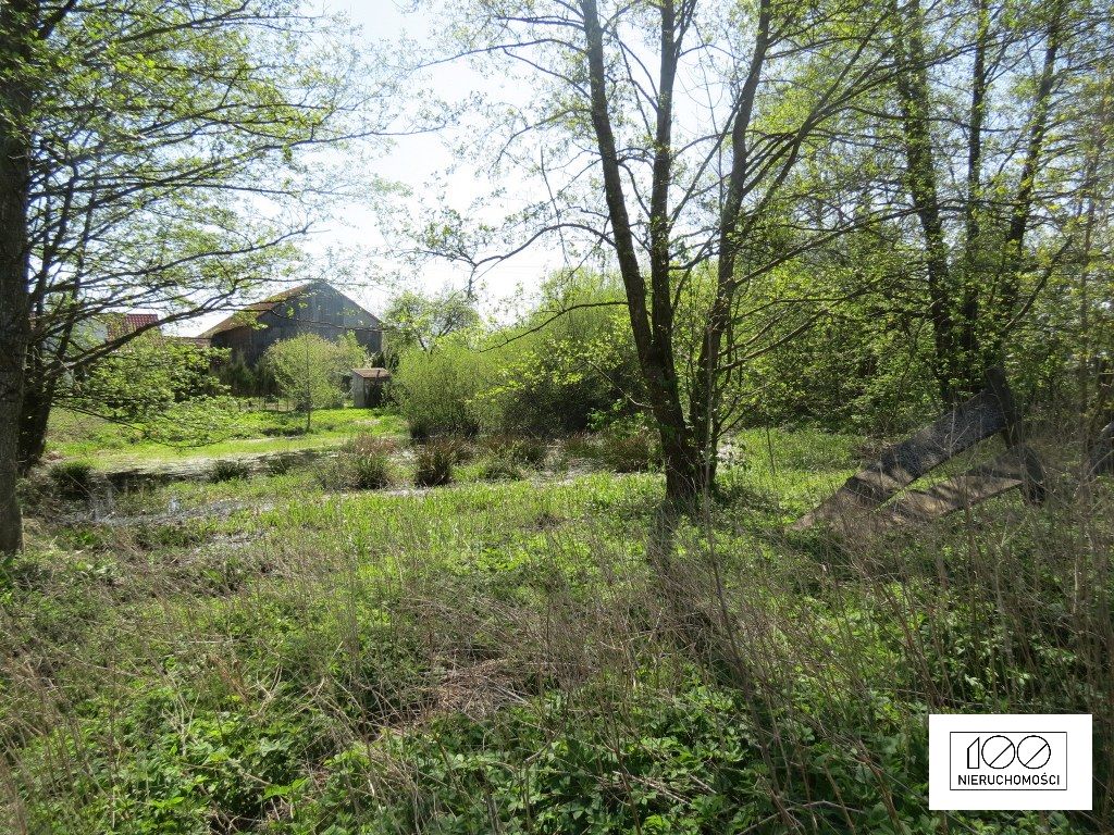 Działka rekreacyjna Przeradz. Zdjęcie 5