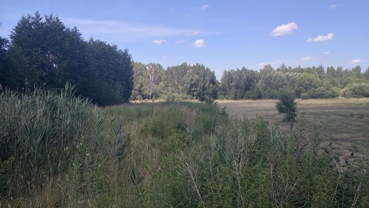 Działka rolna Białystok Zagórki, ul. Kotwicowa