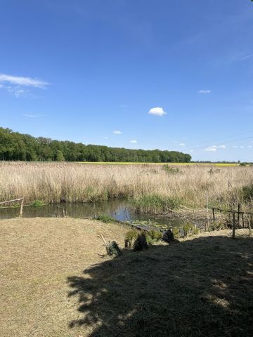Działka budowlana Nietków, ul. Boczna. Zdjęcie 1