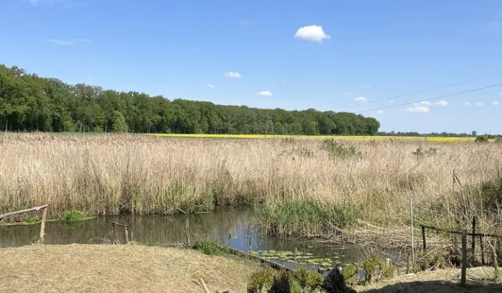 Działka budowlana Nietków, ul. Boczna