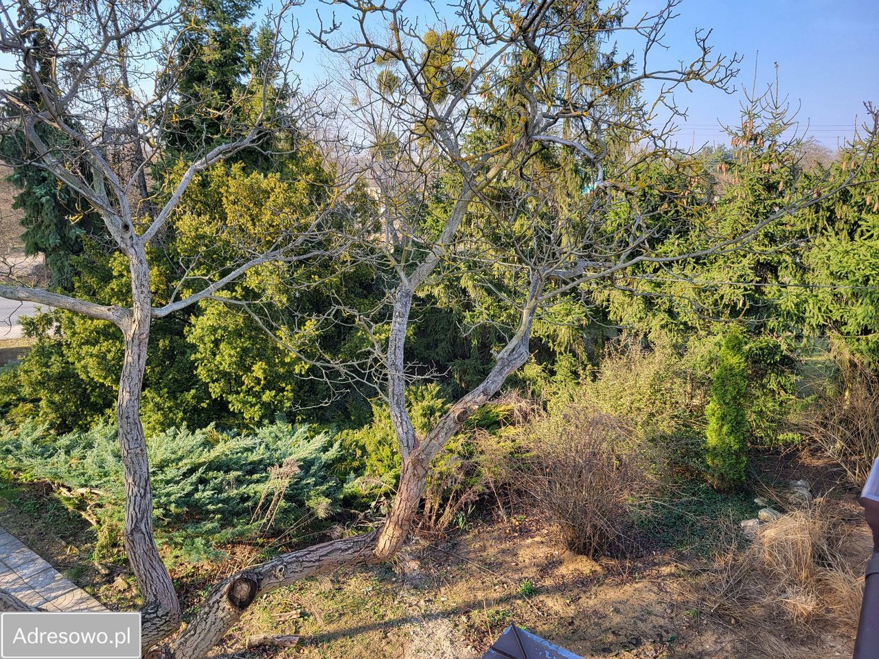 dom wolnostojący, 3 pokoje Poznań Wola, ul. Dunajecka. Zdjęcie 7