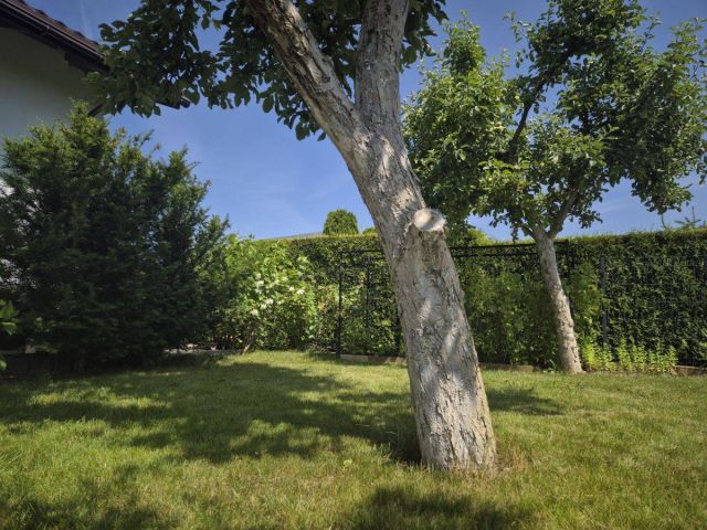 Działka rolna Poznań Nowe Miasto, ul. Jarosławska. Zdjęcie 10