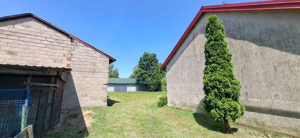 Działka siedliskowa Marianów-Kolonia. Zdjęcie 6