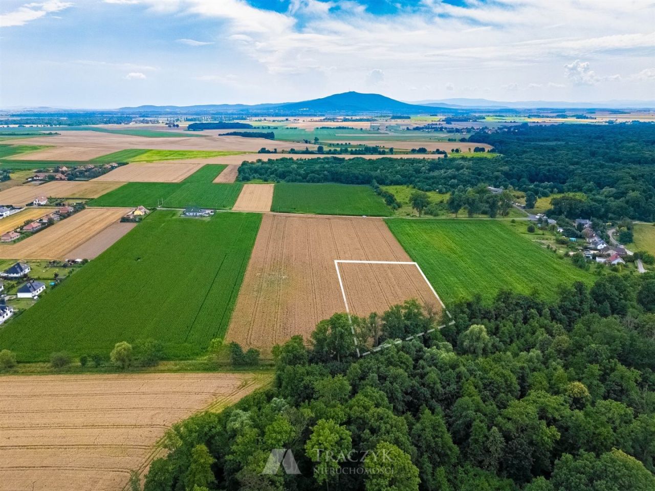 Działka siedliskowa Zachowice. Zdjęcie 9