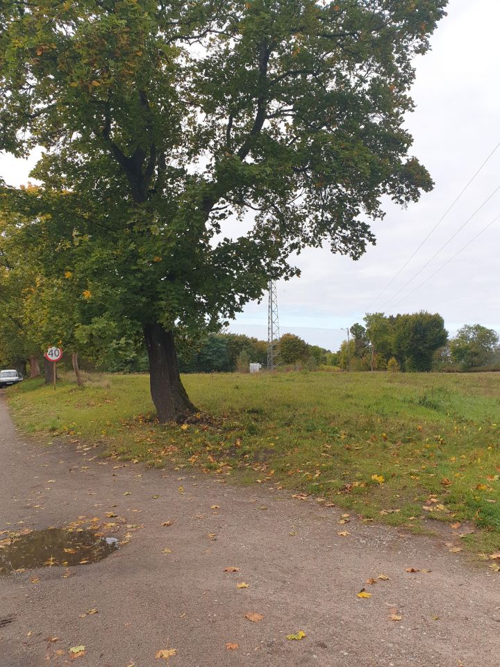 Działka rolno-budowlana Mostkowo. Zdjęcie 6