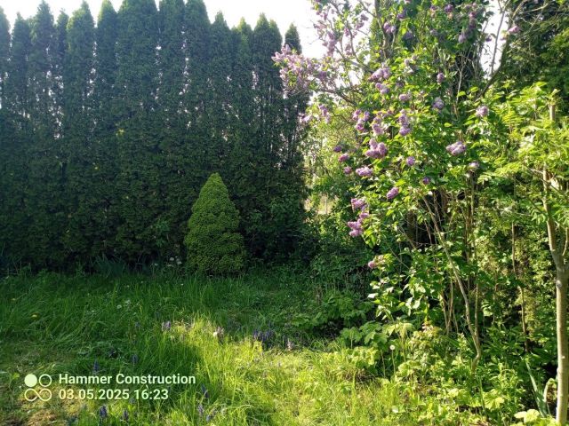 Działka rod Siedlce. Zdjęcie 1