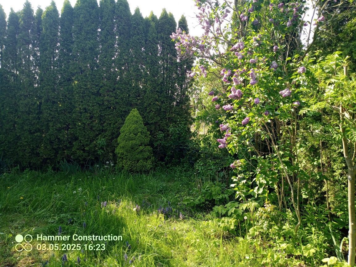 Działka rod Siedlce