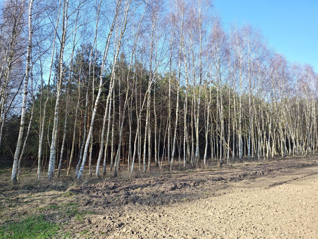 Działka rolna Wszebory. Zdjęcie 7