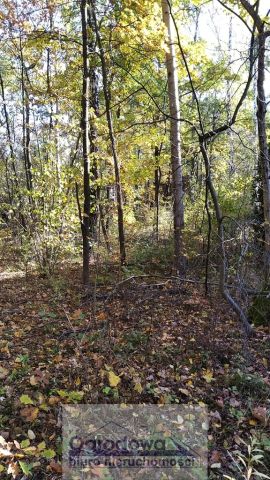 Działka budowlana Magdalenka. Zdjęcie 2