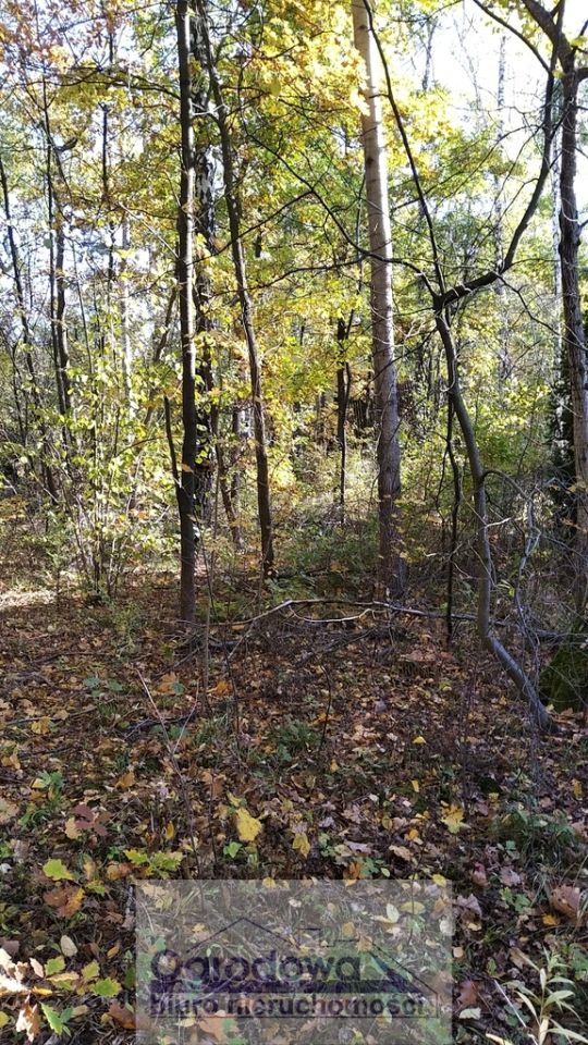 Działka budowlana Magdalenka. Zdjęcie 2