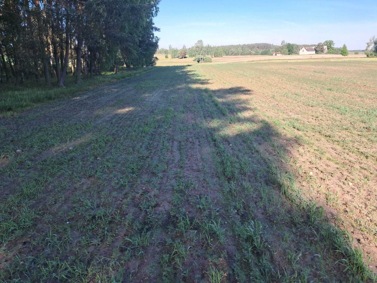 Działka rolno-budowlana Lisiny. Zdjęcie 5