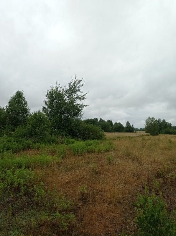 Działka rolno-budowlana Helenów. Zdjęcie 3