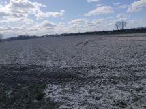 Działka budowlana Piorunów. Zdjęcie 1