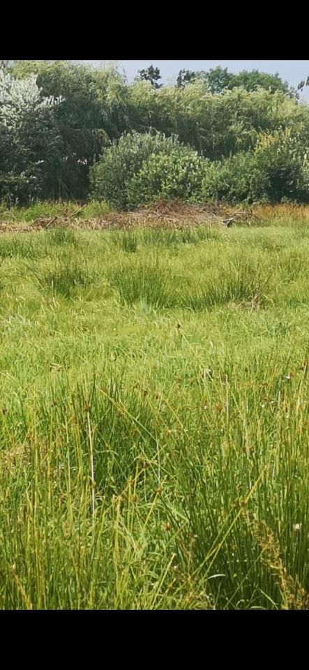 Działka budowlana Słajszewo. Zdjęcie 3