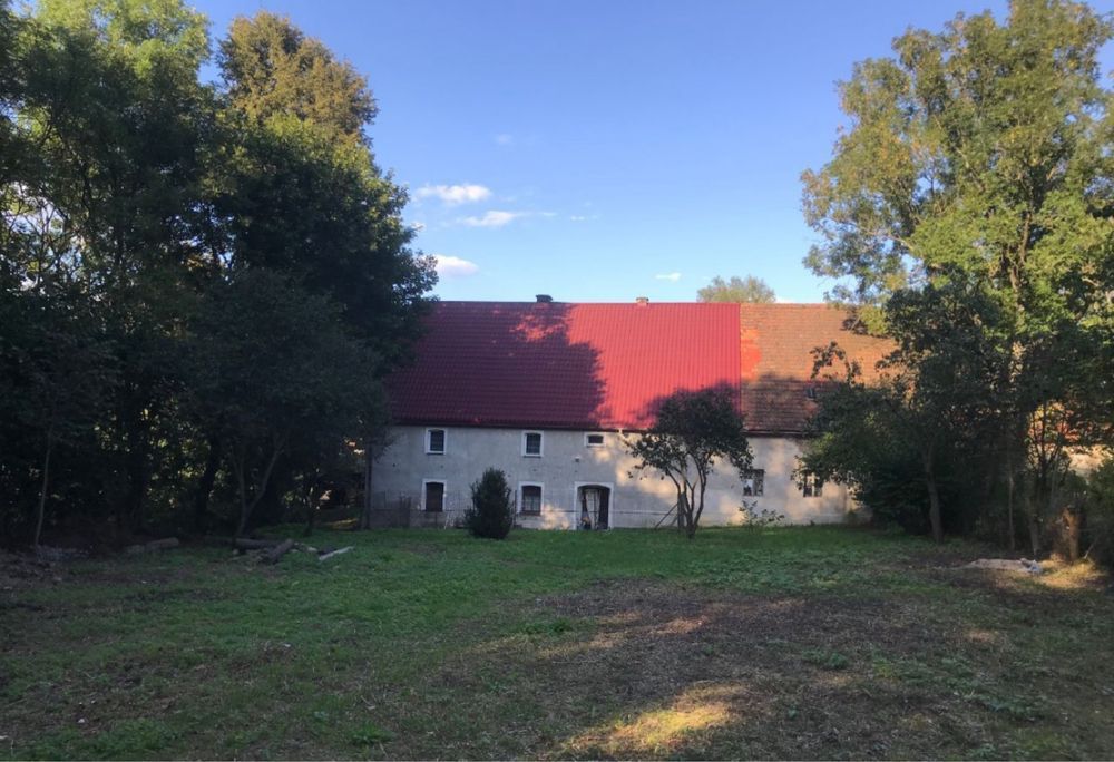 gospodarstwo, 6 pokoi Stary Wielisław. Zdjęcie 8