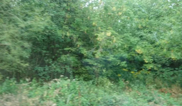 Działka rolno-budowlana Miąse