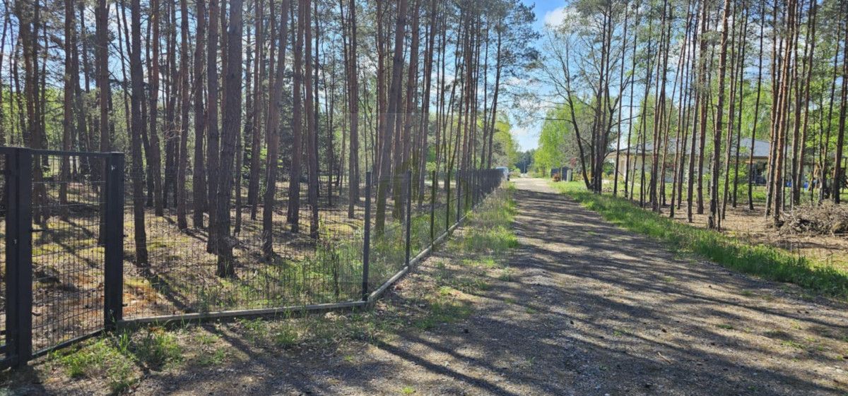 Działka leśna Makówka