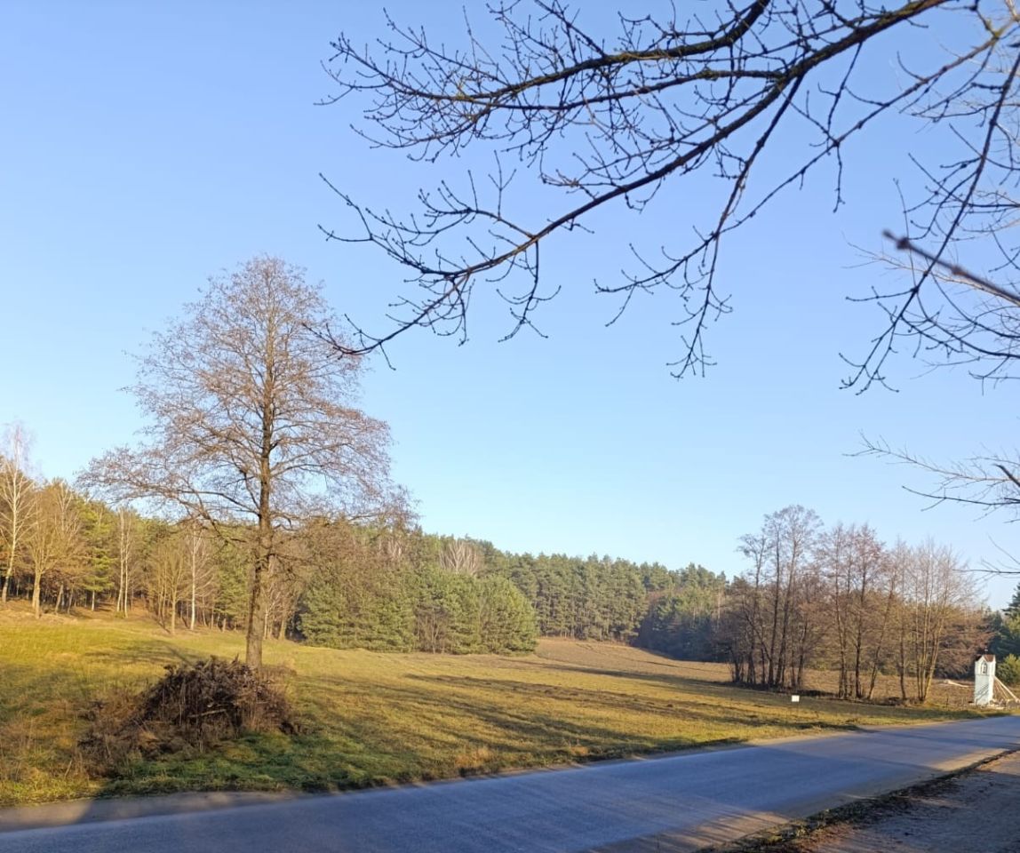 Działka budowlana Zimny Zdrój. Zdjęcie 2