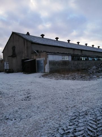 Działka rolna Lubin Bielica. Zdjęcie 1