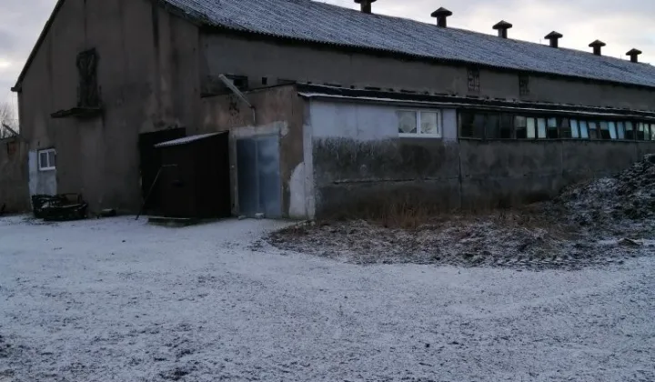 Działka rolna Lubin Bielica