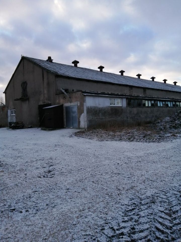 Działka rolna Lubin Bielica. Zdjęcie 1