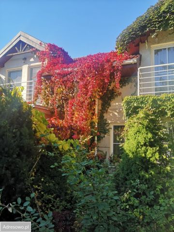 dom szeregowy, 4 pokoje Warszawa Tarchomin, ul. Odkryta. Zdjęcie 1