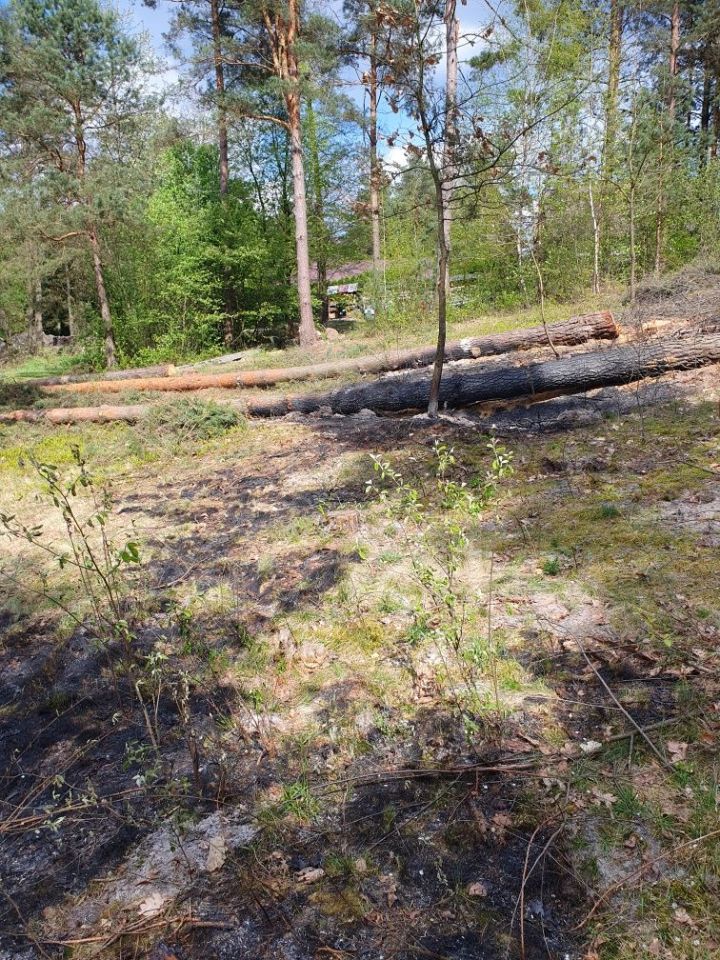 Działka rekreacyjna Nowiny. Zdjęcie 3