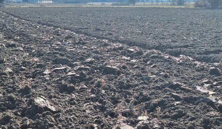 Działka inwestycyjna Szymanów