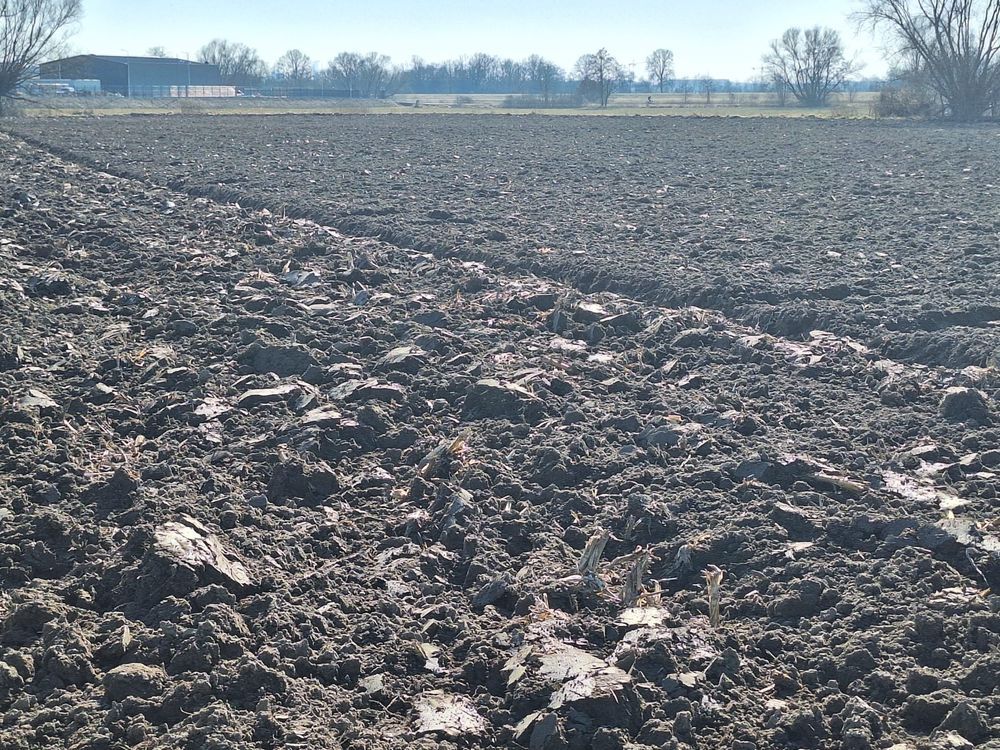 Działka inwestycyjna Szymanów. Zdjęcie 1