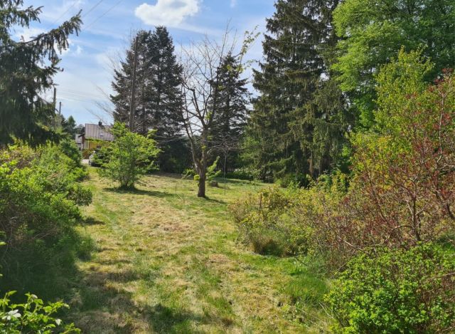 Działka budowlana Bukowiec. Zdjęcie 2