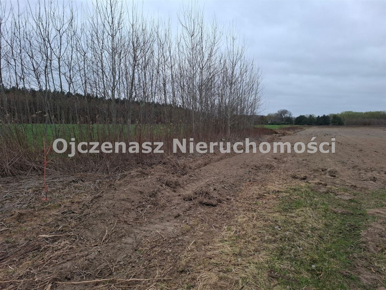 Działka budowlana Jarużyn. Zdjęcie 2