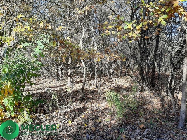 Działka budowlana Żółwin. Zdjęcie 5