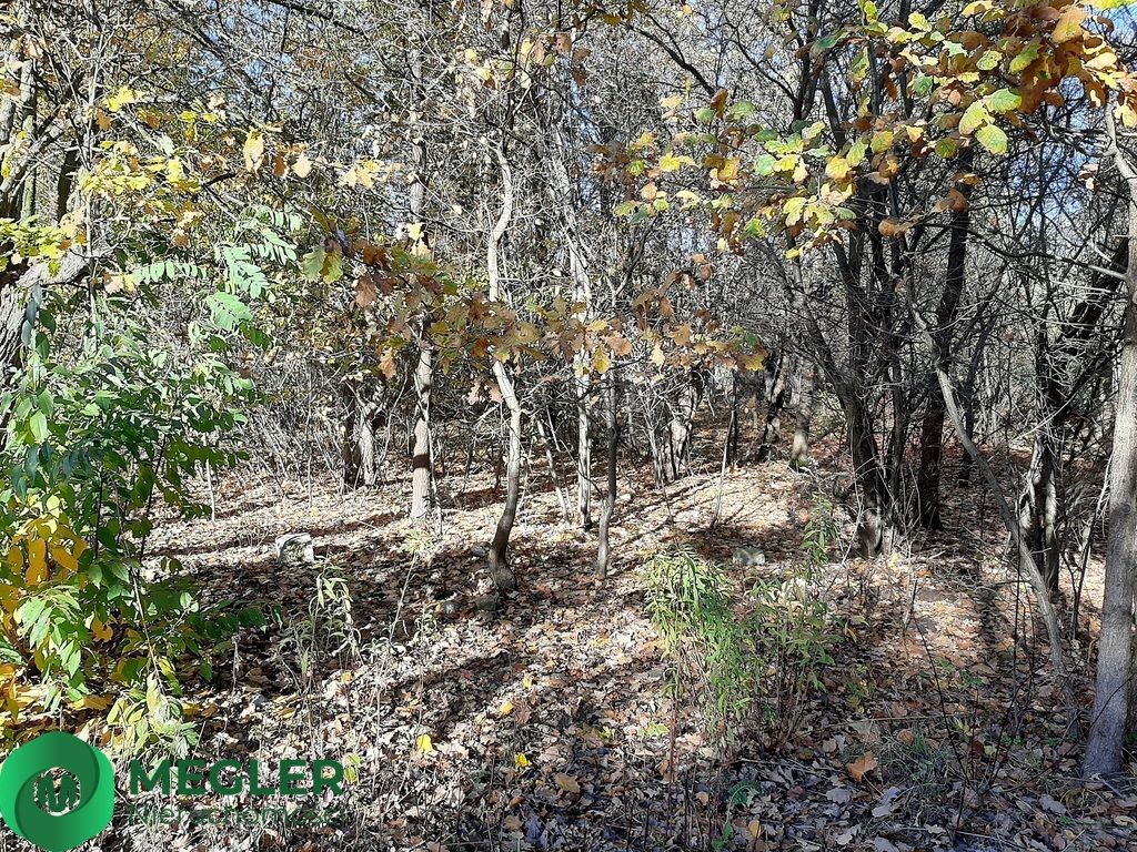 Działka budowlana Żółwin. Zdjęcie 5