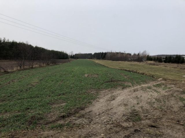 Działka rolna Ciechanowiec, ul. Wspólna. Zdjęcie 1