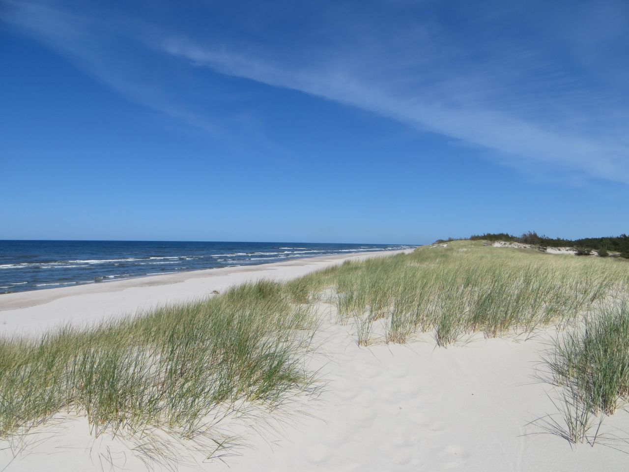 Działka siedliskowa Smołdziński Las. Zdjęcie 4