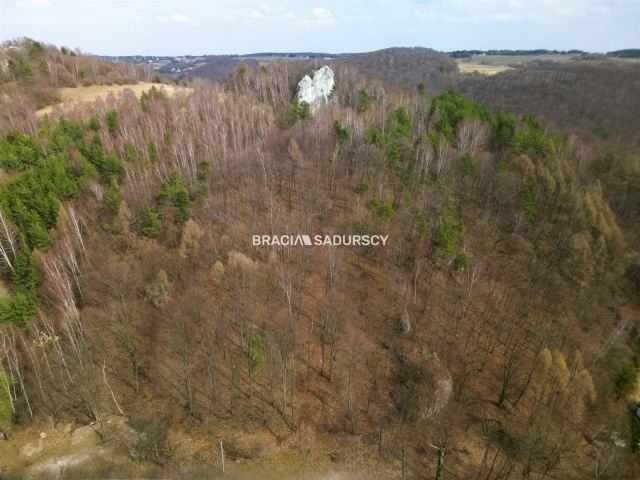 Działka leśna Jerzmanowice, ul. Zachodnia. Zdjęcie 1