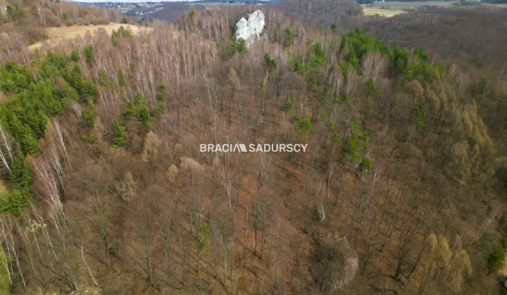 Działka leśna Jerzmanowice, ul. Zachodnia