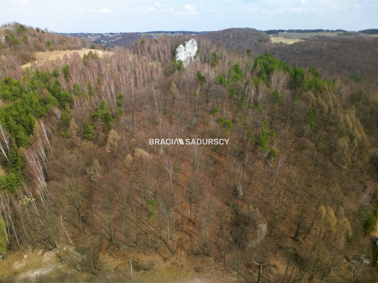 Działka leśna Jerzmanowice, ul. Zachodnia. Zdjęcie 1