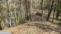 Działka rolna Drogoszowice. Zdjęcie 2