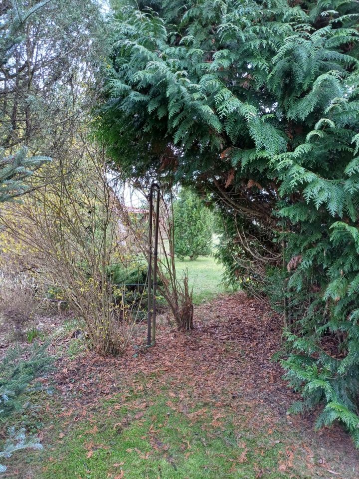 Działka rod Mokra Prawa. Zdjęcie 11