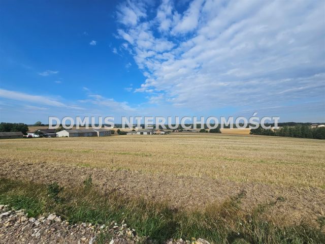 Działka budowlana Jasień. Zdjęcie 8