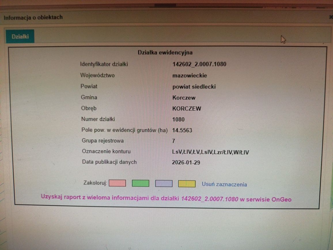 Działka rolna Korczew. Zdjęcie 3