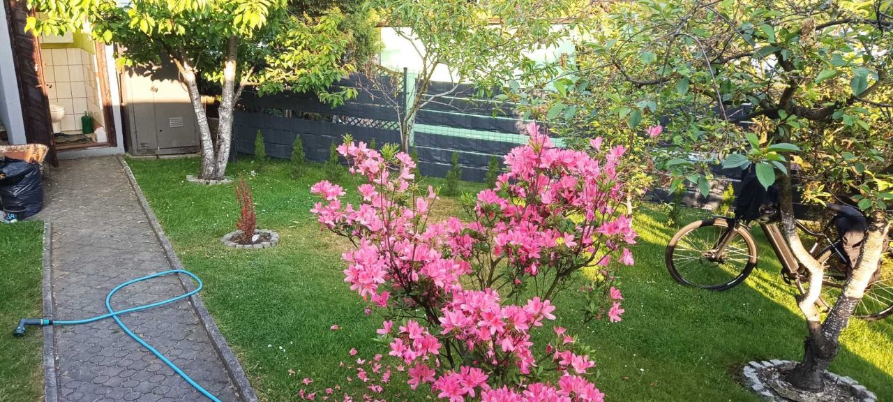 Działka rod Rybnik. Zdjęcie 7