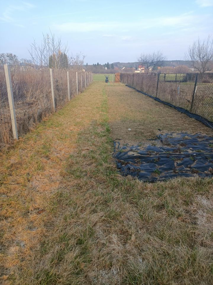Działka rekreacyjna Puławy Włostowice, ul. Polskiej Organizacji Wojskowej. Zdjęcie 2