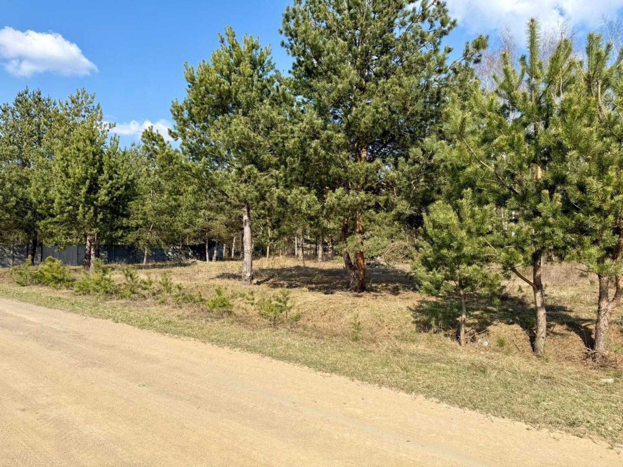 Działka budowlana Nowy Cydzyn. Zdjęcie 2