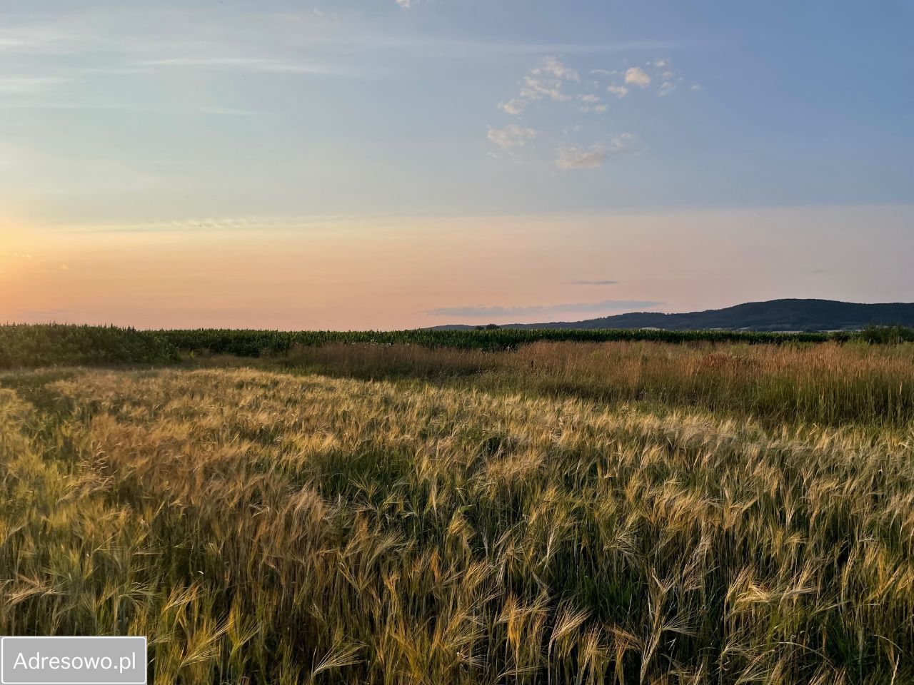 Działka rolno-budowlana Włóki. Zdjęcie 3