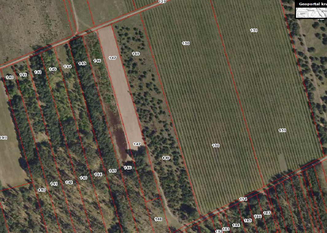 Działka rolna Jagłowo. Zdjęcie 3