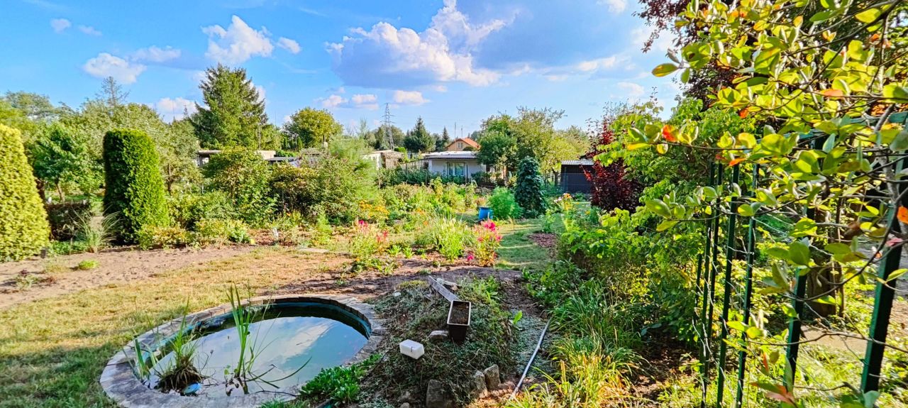 Działka rod Toruń. Zdjęcie 2