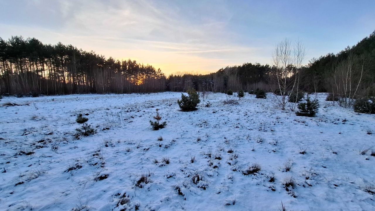 Działka rolna Cegielnia Psucka. Zdjęcie 3